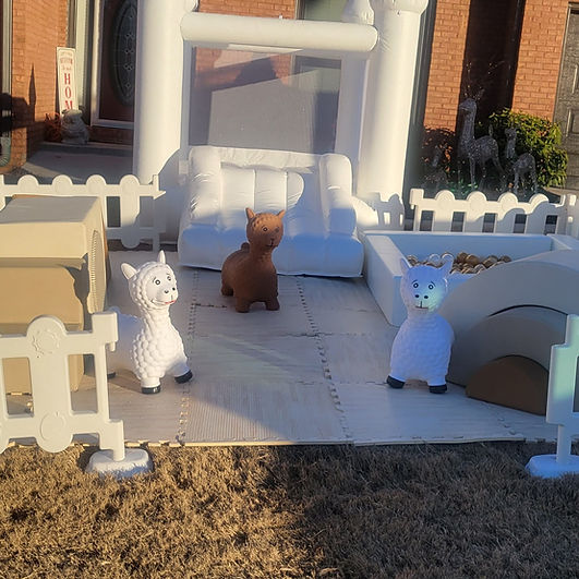 Lux Nude package + Bounce castle
